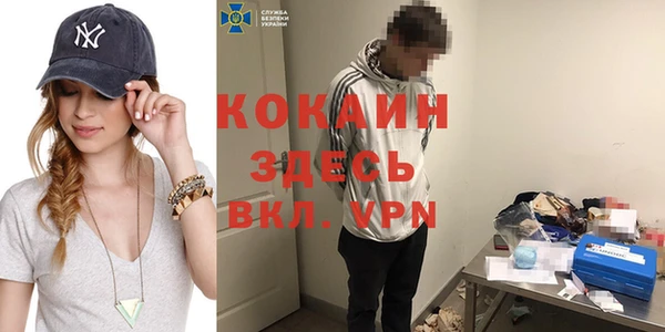 кокс Гусь-Хрустальный