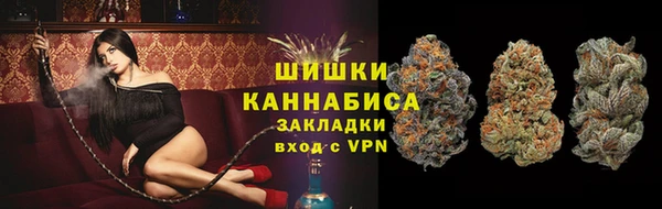PSILOCYBIN Горнозаводск