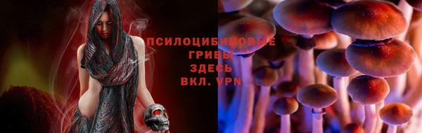 тгк Горняк