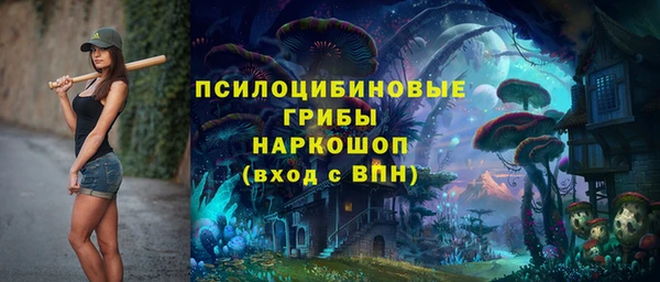 тгк Горняк