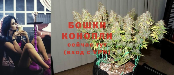 кокс Гусь-Хрустальный