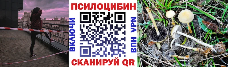 купить  цена  Жирновск  Галлюциногенные грибы MAGIC MUSHROOMS 